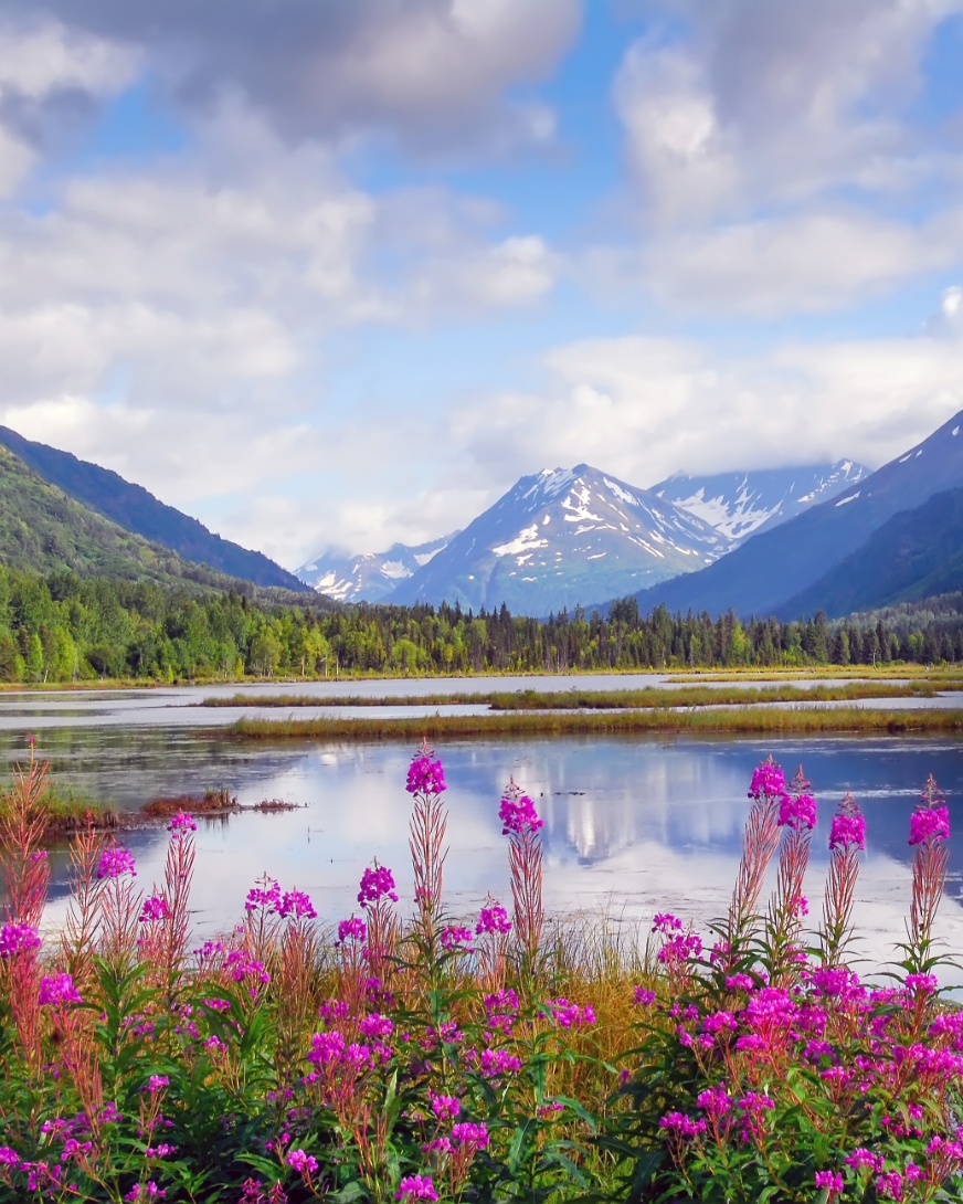 Alasca - Natureza selvagem e vida selvagem